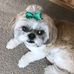 Meet your Posher, Kymberly